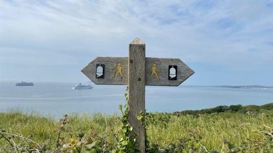 At a Career Crossroads? Springboard+ Could Be For You