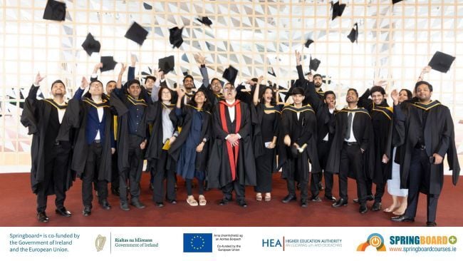 Springboard+ Graduates Share How NCI Transformed Their Careers
